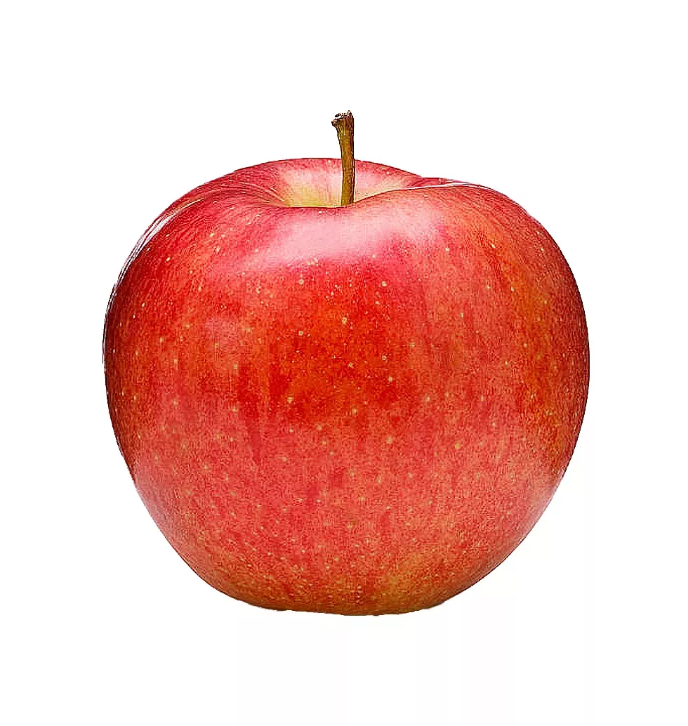 Ultimate Holiday Fruit Indulgence Pack