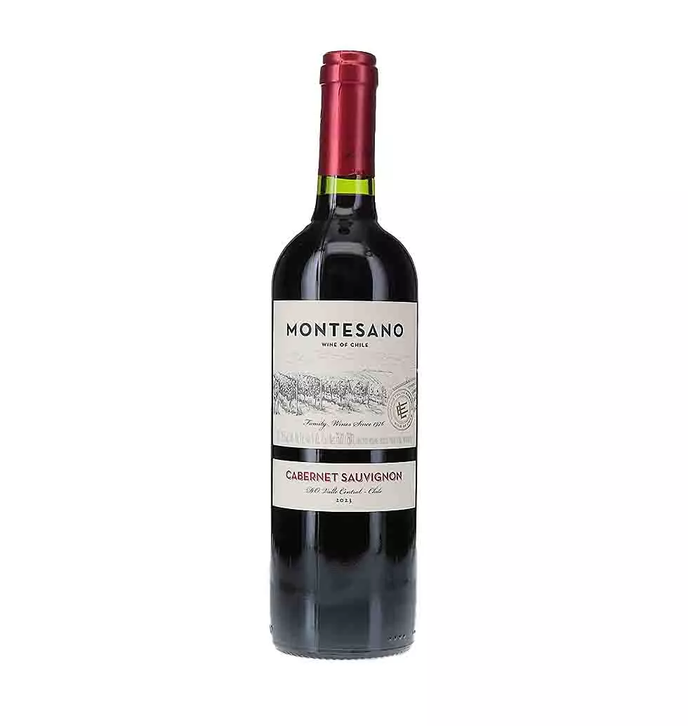 Gourmet Kosher Wine Experience