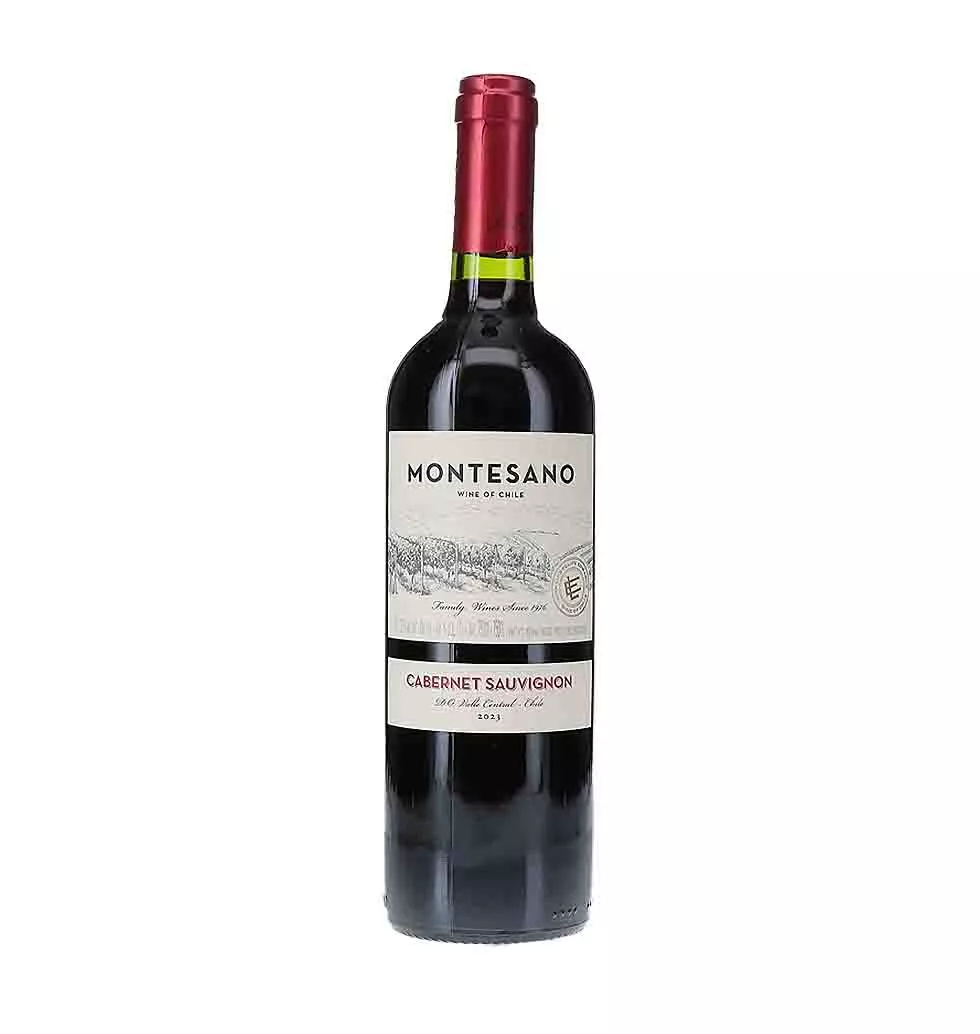 Gourmet Kosher Wine Experience