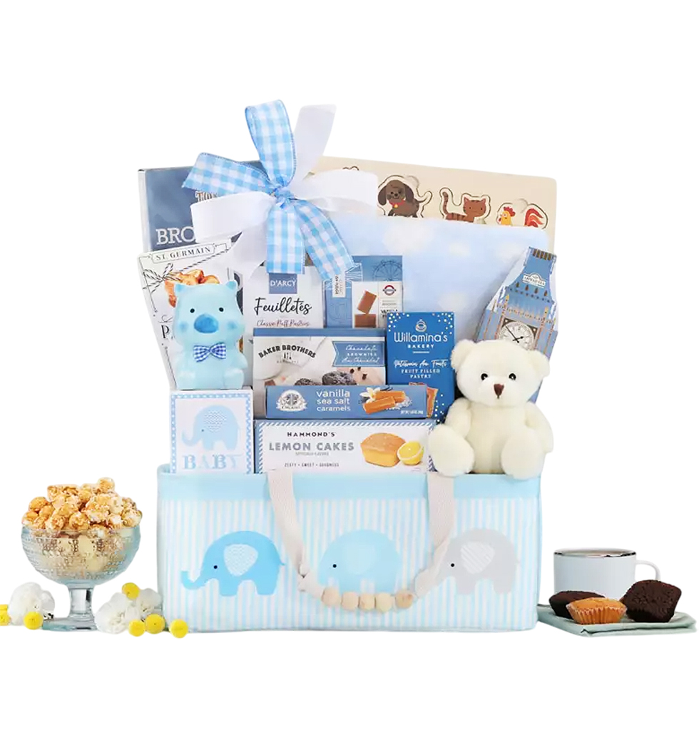 Adorable Baby Welcome Basket