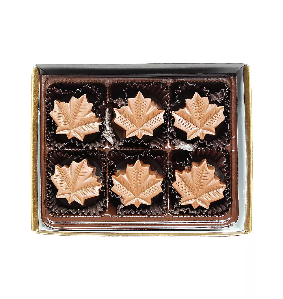 Premium Maple Cream Delight Set